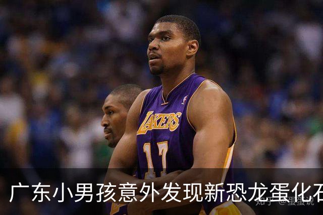广东小男孩意外发现新恐龙蛋化石，已移交博物馆保护